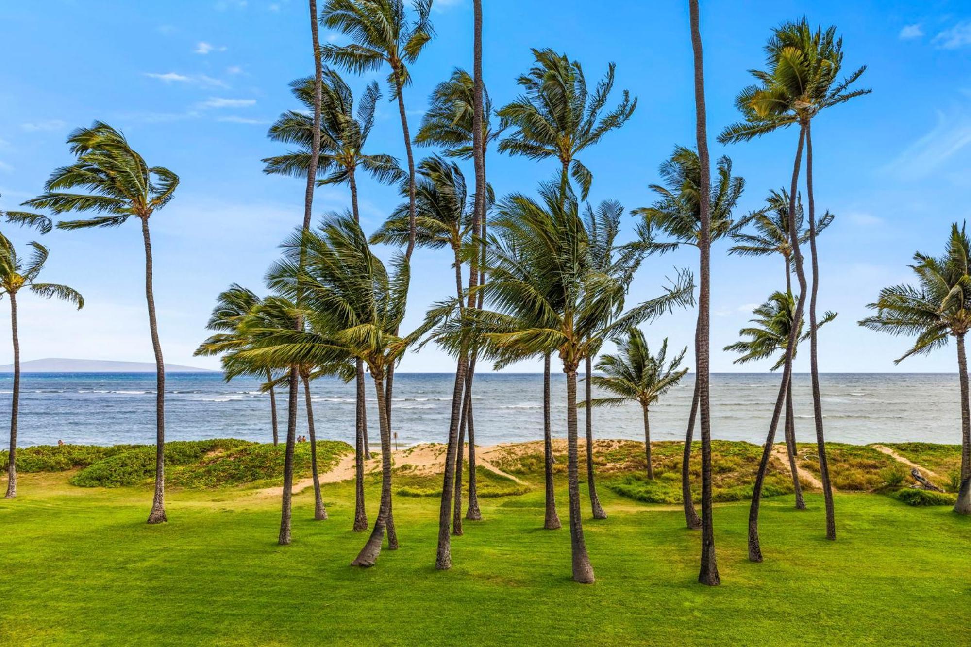 Apartament Hale Kai O'Kihei 317 Zewnętrze zdjęcie